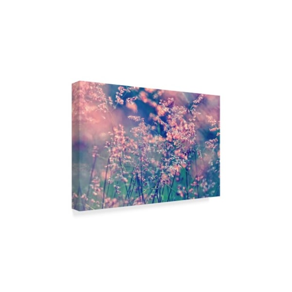 Incredi 'Pink Fragility' Canvas Art,12x19